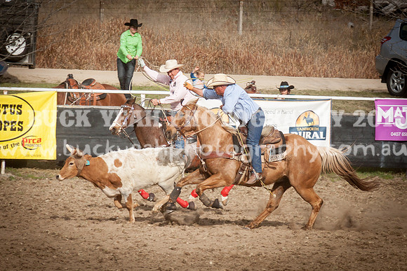 Saturday Cowboys -1252