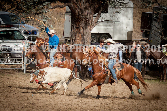 Saturday Cowboys -1253
