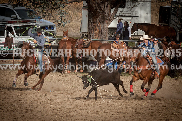 Saturday Cowboys -1255