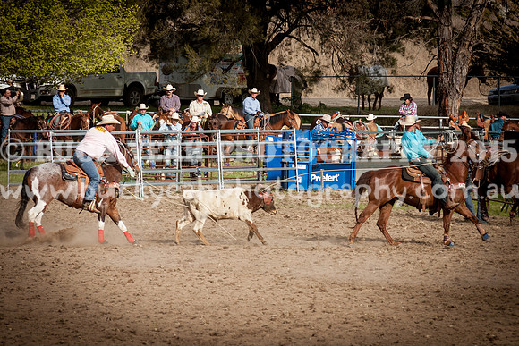 Saturday Cowboys -1259