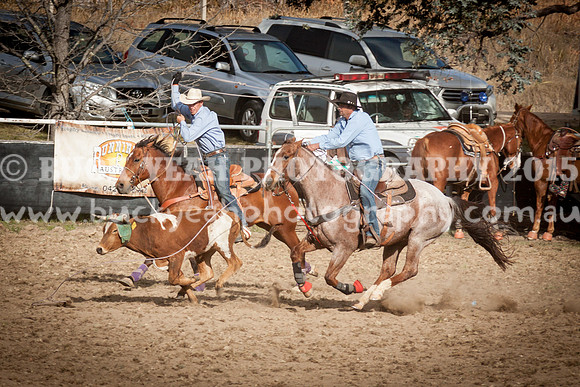 Saturday Cowboys -1260