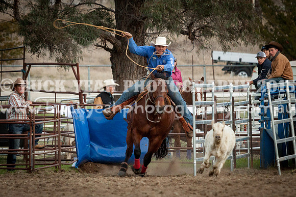 Saturday Cowboys -1279