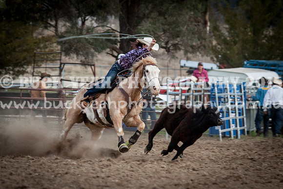 Saturday Cowboys -1282
