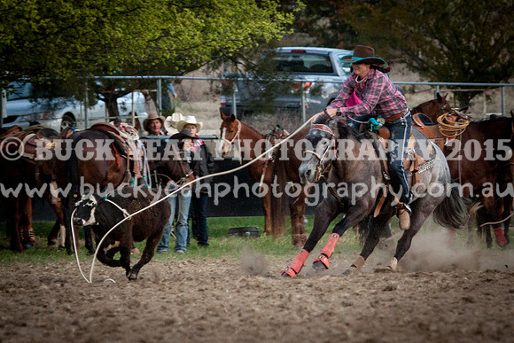 Saturday Cowboys -1283