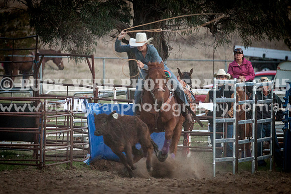 Saturday Cowboys -1286