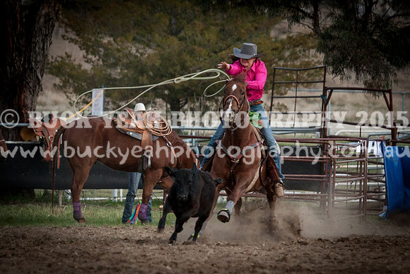 Saturday Cowboys -1287
