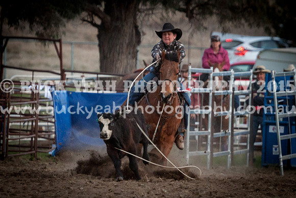 Saturday Cowboys -1288