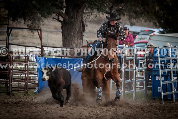 Saturday Cowboys -1289