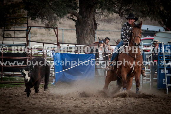 Saturday Cowboys -1290