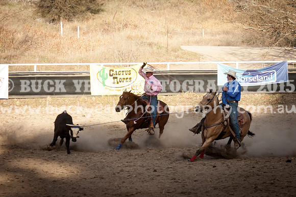 Saturday Cowboys -1296