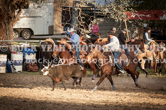 Saturday Cowboys -1299