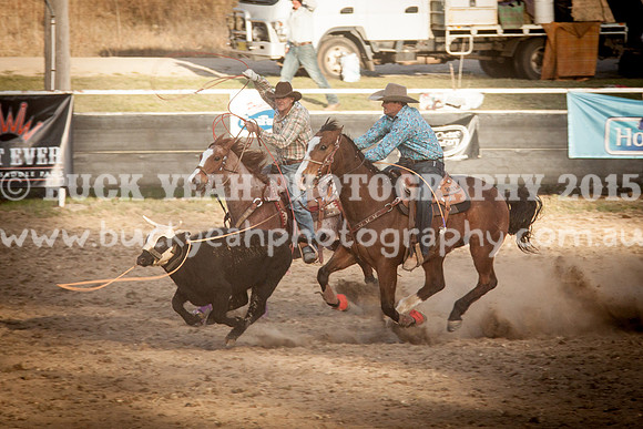 Saturday Cowboys -1300