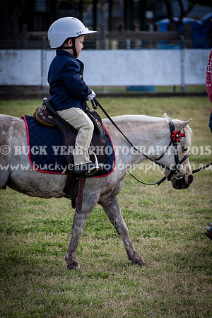Singleton Show 15 -1