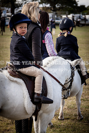 Singleton Show 15 -3