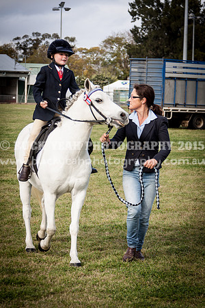 Singleton Show 15 -4