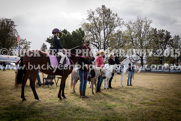 Singleton Show 15 -5