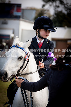 Singleton Show 15 -6