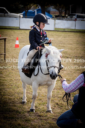 Singleton Show 15 -7