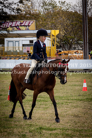 Singleton Show 15 -8