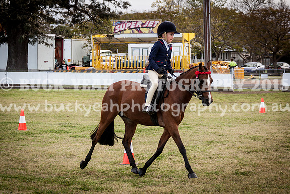 Singleton Show 15 -9