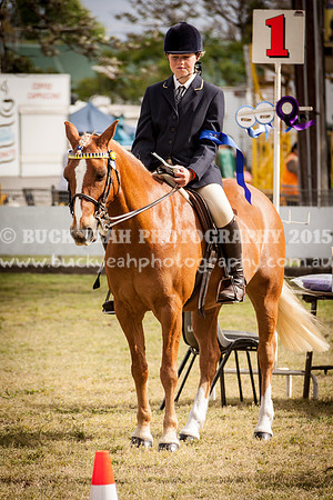 Singleton Show 15 -10