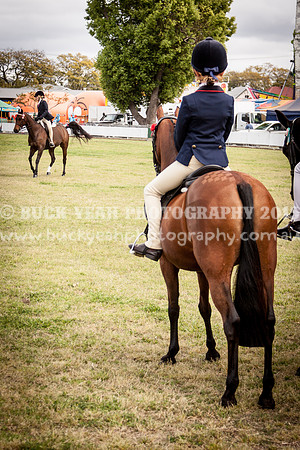 Singleton Show 15 -12