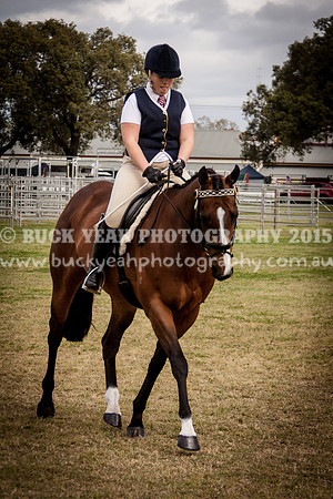 Singleton Show 15 -14