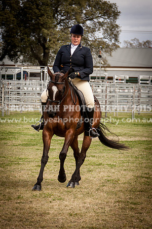 Singleton Show 15 -15