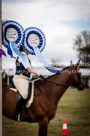 Singleton Show 15 -17