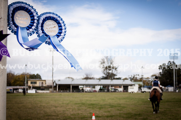 Singleton Show 15 -18