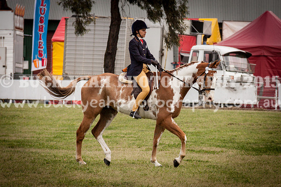 Singleton Show 15 -19