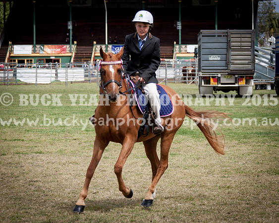 Singleton Show 15 -20