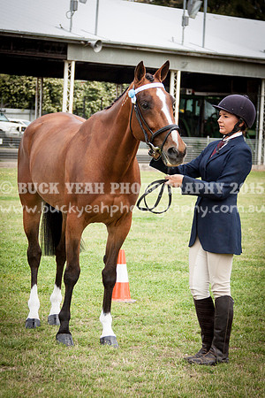 Singleton Show 15 -22