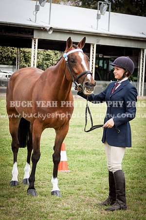 Singleton Show 15 -23