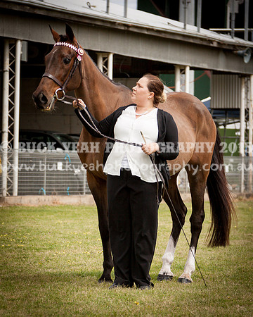 Singleton Show 15 -26