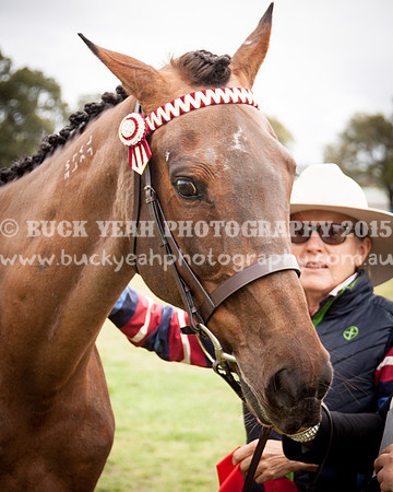 Singleton Show 15 -28