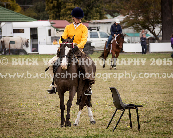 Singleton Show 15 -29