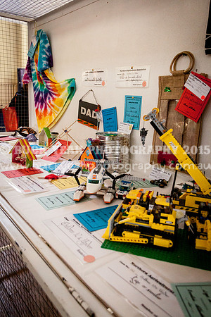 Singleton Show 15 -37