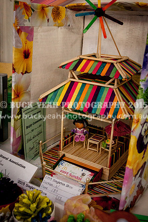 Singleton Show 15 -42