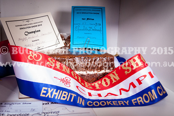Singleton Show 15 -45