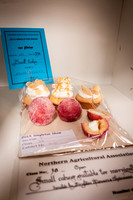 Singleton Show 15 -46