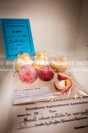 Singleton Show 15 -46