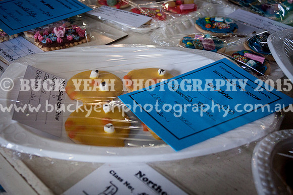 Singleton Show 15 -48