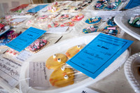 Singleton Show 15 -49
