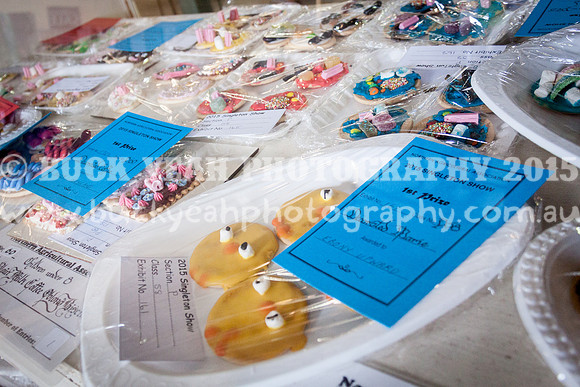 Singleton Show 15 -49