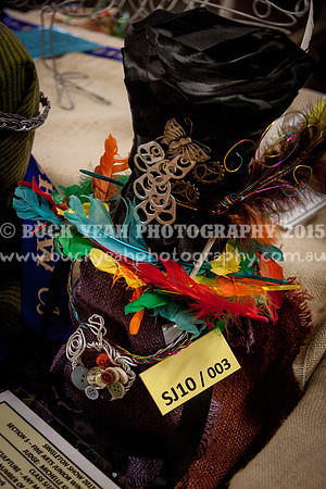 Singleton Show 15 -69