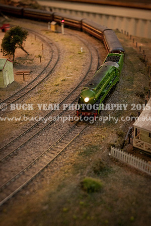 Singleton Show 15 -72