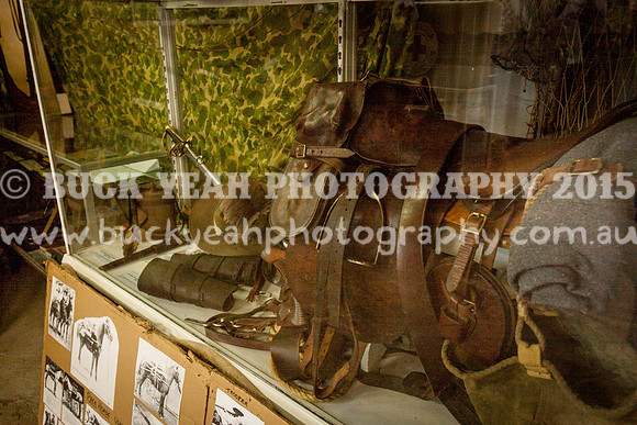 Singleton Show 15 -76