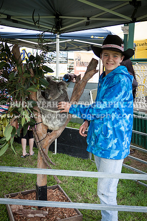 Singleton Show 15 -78