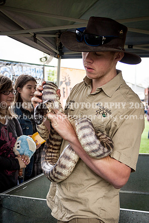 Singleton Show 15 -84